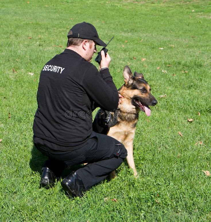 Dog Handling (K9)